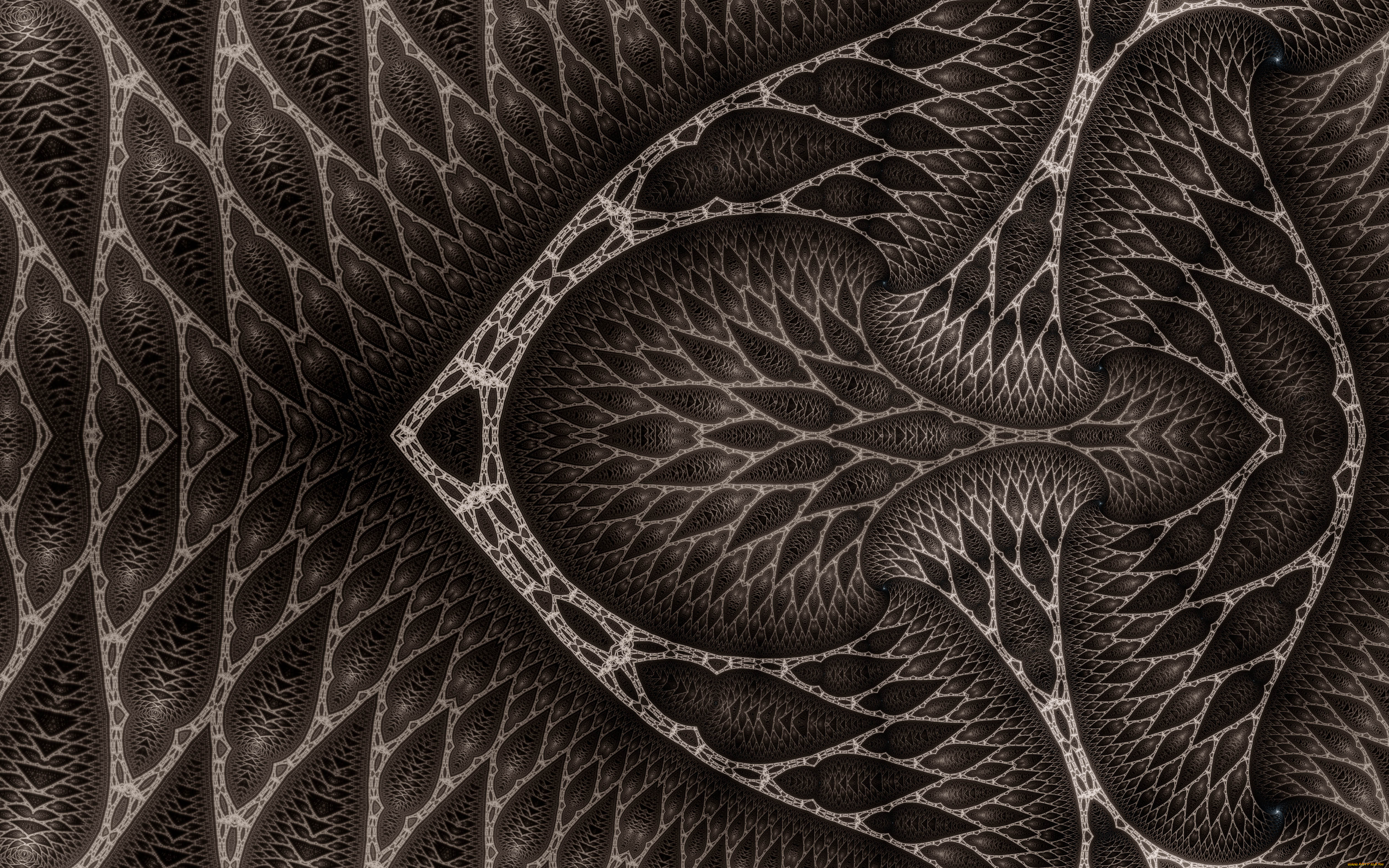 3 ,  , fractal, , , 